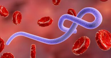 CG Ebola Virus Alert