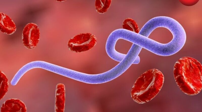 CG Ebola Virus Alert