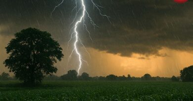 CG Weather Update 01 june 2026