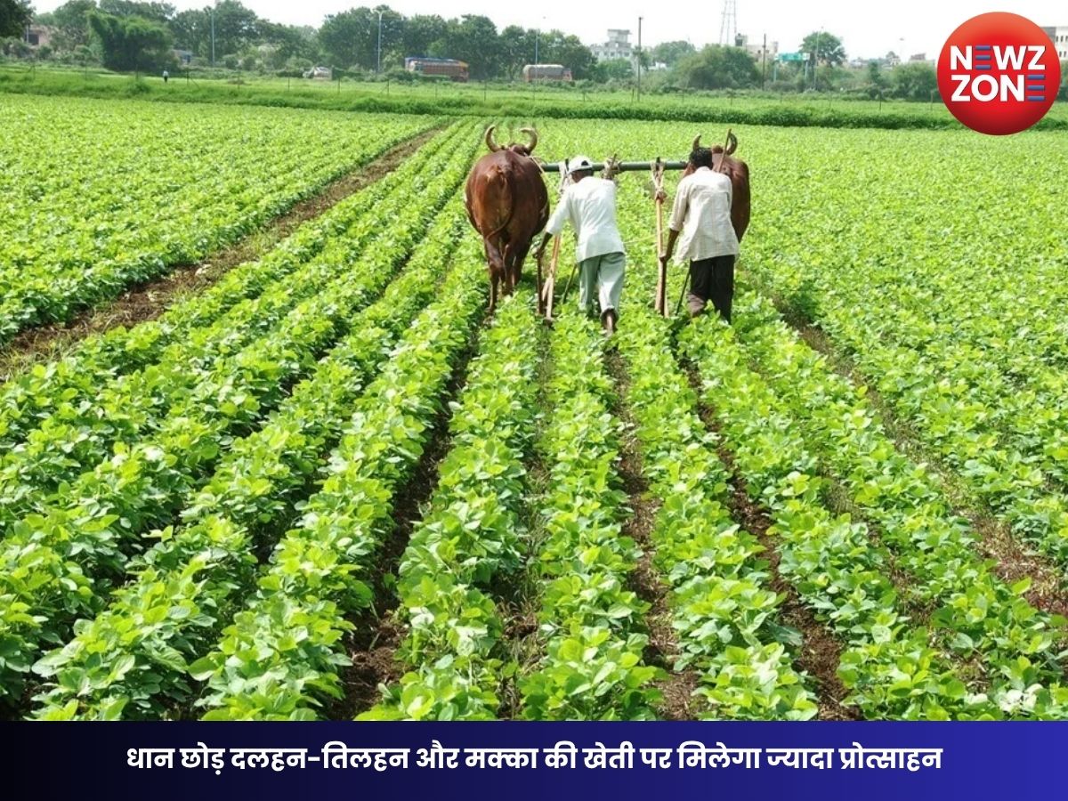 Krishak Unnati Yojana: धान छोड़ दलहन-तिलहन और मक्का की खेती पर मिलेगा ज्यादा प्रोत्साहन, किसानों को ₹15,000 प्रति एकड़ सहायता