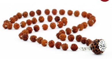 Rudraksha Mala Niyam