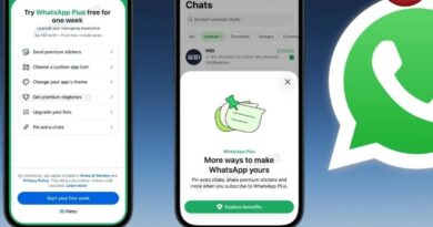 WhatsApp Plus Subscription