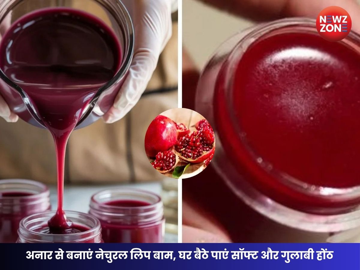 Homemade Lip Balm: महंगे लिप बाम छोड़ें अनार से बनाएं नेचुरल लिप बाम, होंठ बनेंगे सॉफ्ट मॉइश्चराइज्ड और गुलाबी