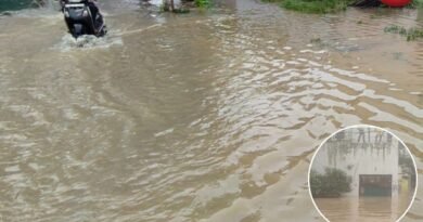 Bilaspur Flood News