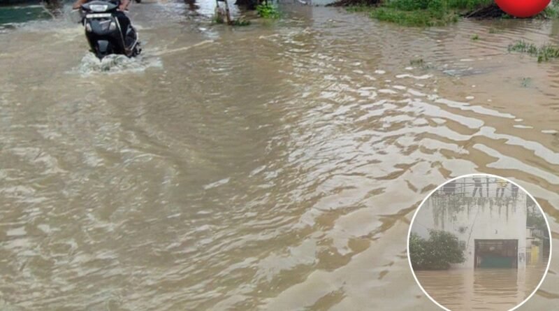Bilaspur Flood News