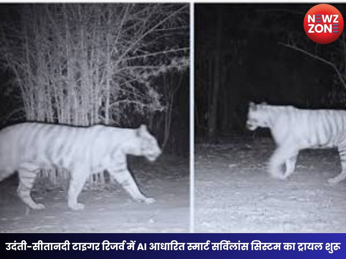 CG AI Forest Surveillance: उदंती-सीतानदी टाइगर रिजर्व में AI आधारित स्मार्ट सर्विलांस सिस्टम का ट्रायल शुरू, अब 24 घंटे होगी जंगल और वन्यजीवों की निगरानी