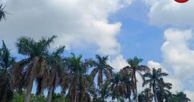 CG Weather Update 13 July 2026