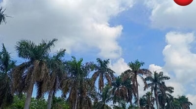 CG Weather Update 13 July 2026