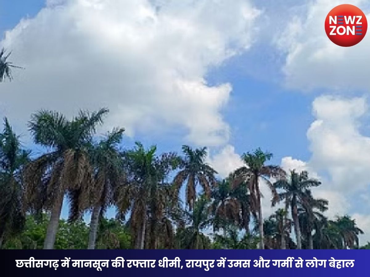 CG Weather Update: छत्तीसगढ़ में मानसून की रफ्तार धीमी, रायपुर में उमस और गर्मी से लोग बेहाल, आज से बारिश बढ़ने की संभावना