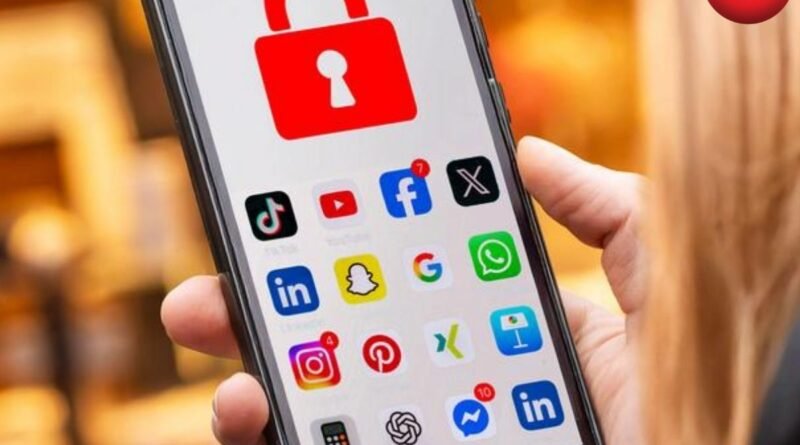 France Social Media Ban