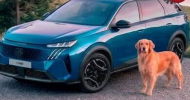 Peugeot E-5008 Dog Edition