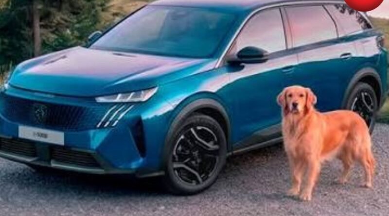Peugeot E-5008 Dog Edition