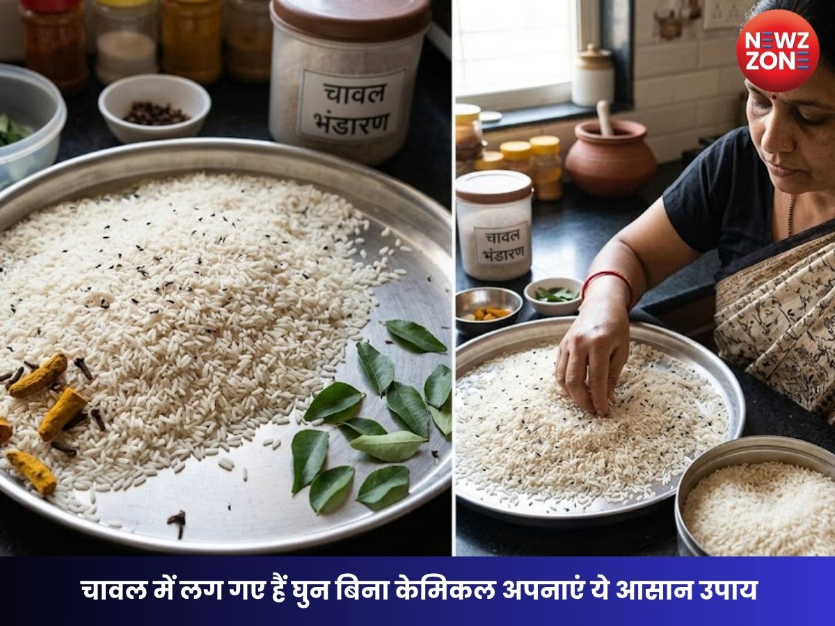 How to Remove Weevils from Rice: चावल में लग गए हैं घुन बिना केमिकल अपनाएं ये आसान उपाय, मिनटों में होंगे साफ