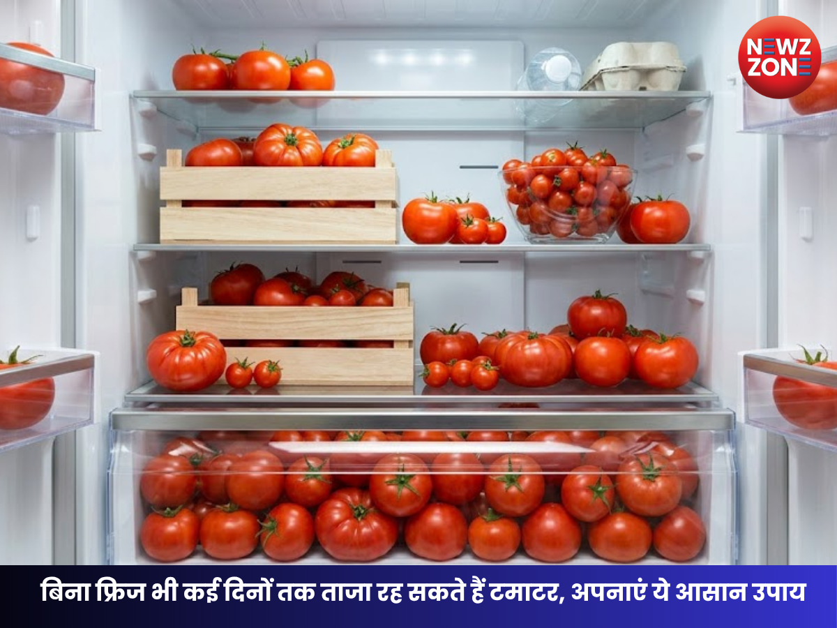 Tomato Storage Tips: बिना फ्रिज भी कई दिनों तक ताजा रह सकते हैं टमाटर, अपनाएं ये आसान उपाय