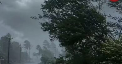 CG Weather Today 11 august 2026
