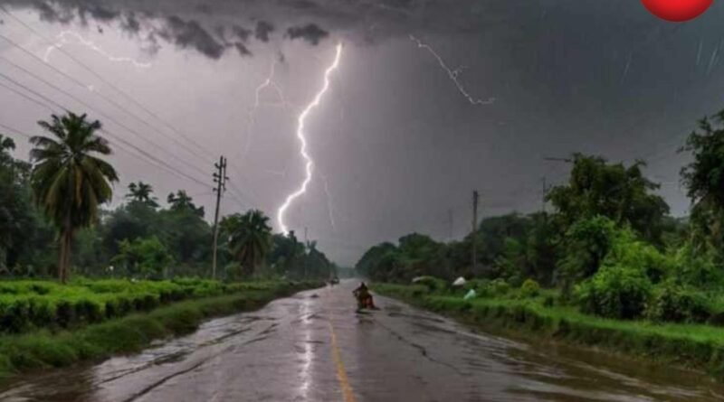 CG Weather Update 12 August 2026