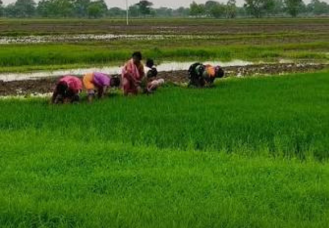 बिना जिम के घटाएं वजन! (5)