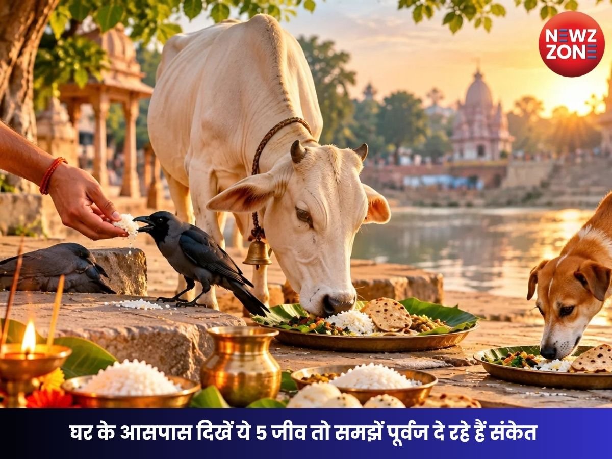 Pitru Paksha : पितृ पक्ष में घर आएं ये 5 जीव तो माना जाता है शुभ, पितरों से मिलते हैं खास संकेत