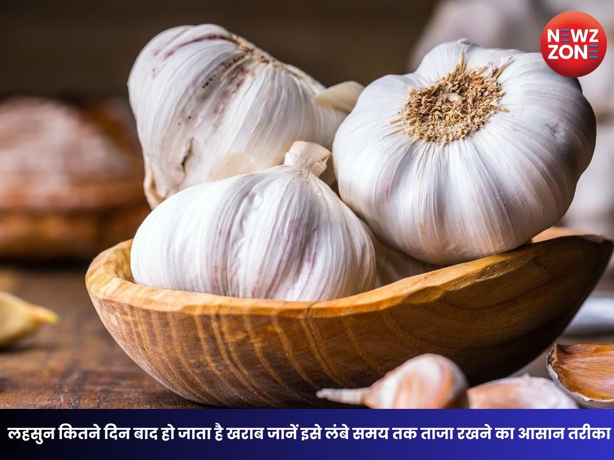How To Store Garlic: लहसुन कितने दिन तक रहता है ताजा? जानें खराब होने के संकेत और सही स्टोरेज तरीका