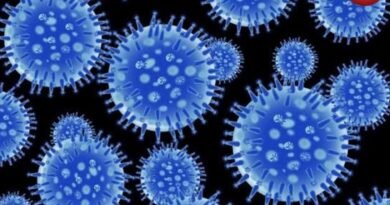 CG Swine Flu