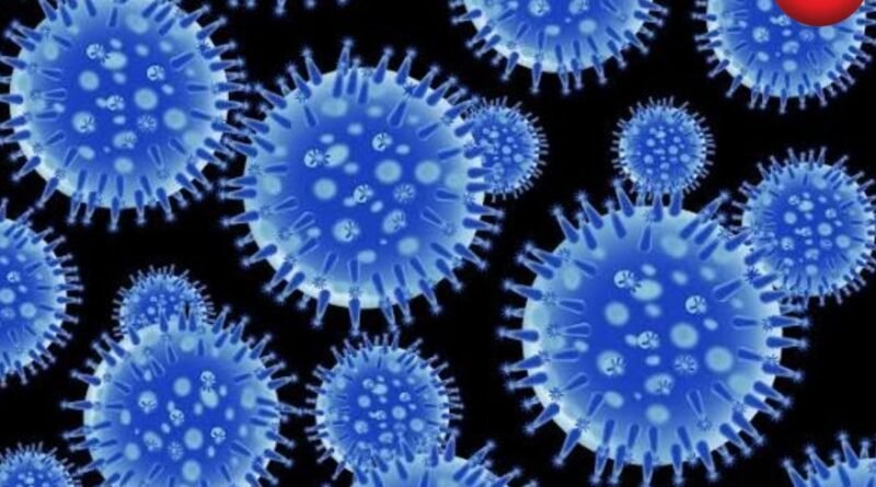 CG Swine Flu