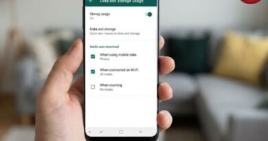 WhatsApp Auto Download