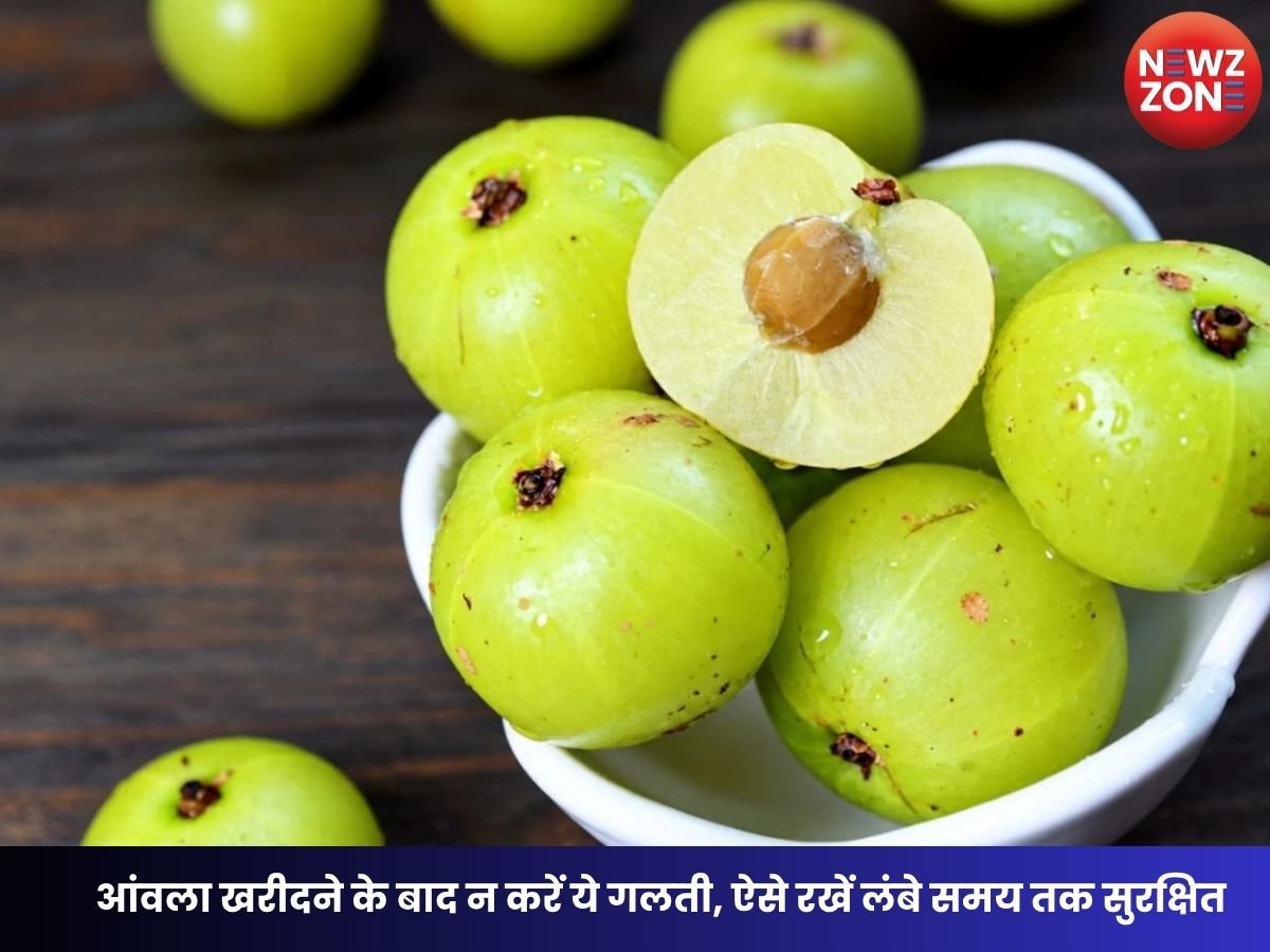 Amla Storage Tips: आंवला खराब होने से बचाएं फ्रिज से लेकर फ्रीजर तक जानें लंबे समय तक स्टोर करने के तरीके