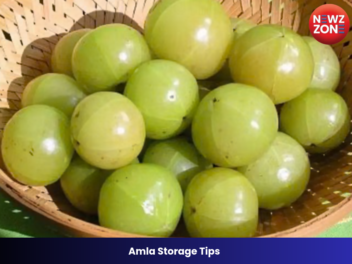 Amla Storage Tips: सर्दियों में ज्यादा खरीद लिया है आंवला? इन आसान तरीकों से महीनों तक रखें ताजा और स्वाद बरकरार