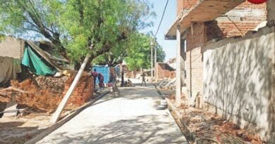 Self Reliant Village