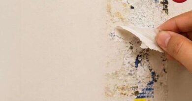 Wall Paint Damage