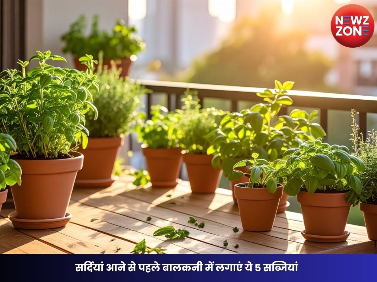 Winter Gardening Tips: सर्दियां आने से पहले बालकनी में लगाएं ये 5 सब्जियां, पूरे मौसम मिलेगी ताजी और हेल्दी हरी सब्जियां